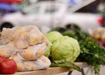 В Краснодаре 1 октября открылись 5 ярмарок выходного дня