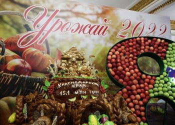 На Кубани собрали 15 миллионов тонн зерновых и зернобобовых