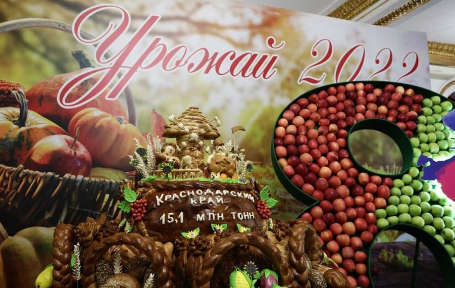 На Кубани собрали 15 миллионов тонн зерновых и зернобобовых