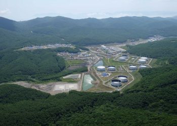 «Транснефть»: атаки дрона ВСУ в Новороссийске не было