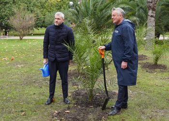 В Сочи высадили 30 деревьев в парке Художественного музея