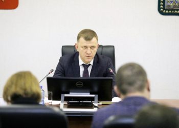 Наумова возмутило затянувшееся проектирование приюта для собак