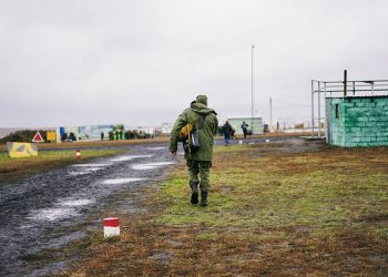 На Кубани 3,5 тысячи человек записались в добровольцы через «Госуслуги»