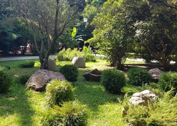 В Сочи на 70% благоустроили парк культуры и отдыха имени 30-летия Победы