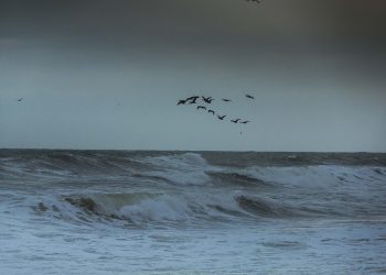 В Новороссийске ожидается шторм и двухметровые волны