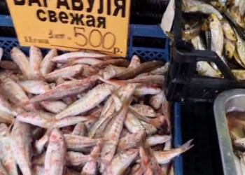 Цены на свежую рыбу шокировали жителей Краснодарского края