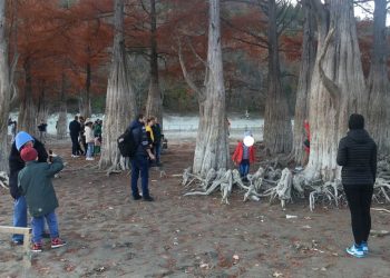 На Кубани туристы растоптали кипарисовую рощу