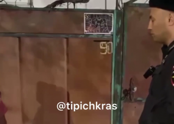 К жительнице Краснодара нагрянул участковый из-за жестокого обращения с собакой