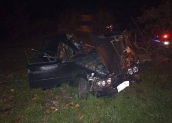 В Сочи водитель сбил лошадь, проломил забор и погиб