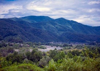 В Сочи нашли мертвым пропавшего 56-летнего охотника