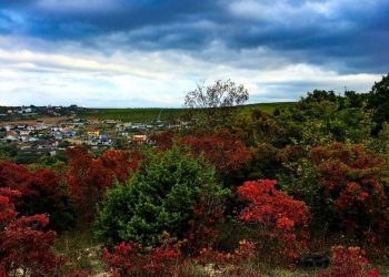 Горы Анапы окрасились в багрово-красный цвет