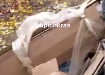 В Краснодаре сняли на видео «черного» мусорщика