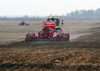 На Кубани закончился сев озимых культур