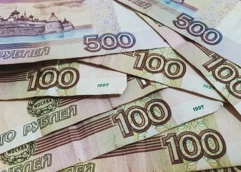 Власти Сочи выплатят 100 тысяч рублей компенсации за укус собакой 11-летнего ребенка