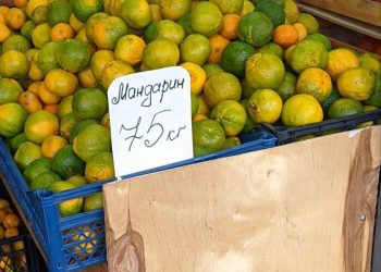 В Краснодаре стали известны цены на фермерские продукты