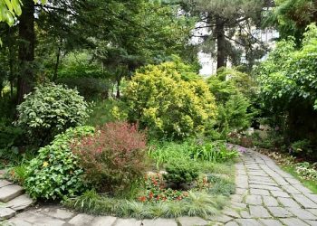 В Сочи начнут готовить ландшафтных архитекторов