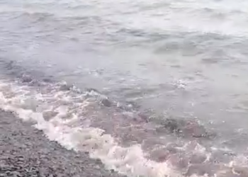 Море в Новороссийске окрасилось в кровавый цвет