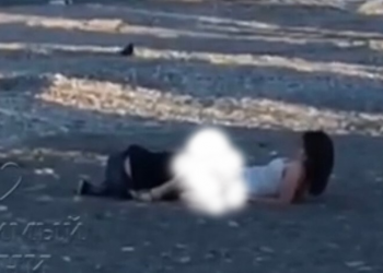 В Сочи на пляже «Мандарин» парочка занялась сексом на фоне работающего трактора