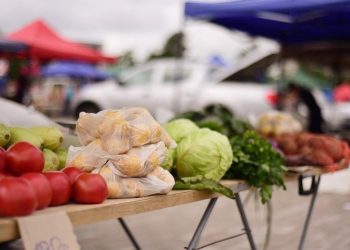 В Краснодаре открылись 10 ярмарок выходного дня