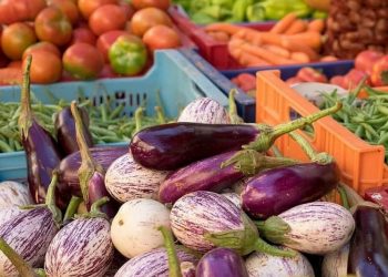 В субботу в Краснодаре открылись девять ярмарок