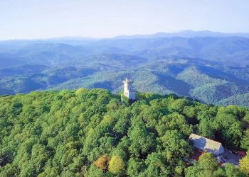 В Сочи отдыхают около 90 тысяч туристов