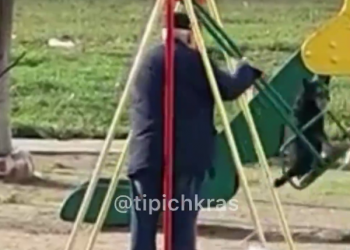 В Краснодаре одинокий дедушка приучил собаку качаться на качелях