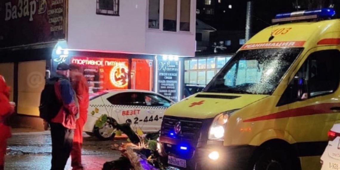В Сочи на машину скорой помощи упало дерево