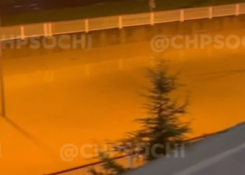 МЧС: в Адлерском районе Сочи вода из-за залпового ливня хлынула на проезжую часть