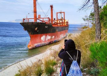 Сухогруз «РИО» рядом с Геленджиком демонтируют за 4 месяца