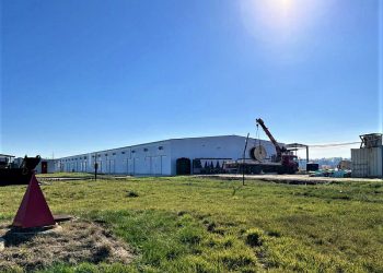 В Краснодаре строят Центр по выращиванию грибов