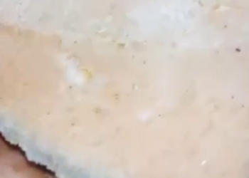 Жительница Сочи в купленном хлебе нашла крысиную шерсть