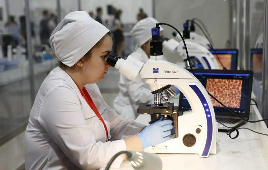 Кубанский научный фонд поддержал 131 инновационный проект