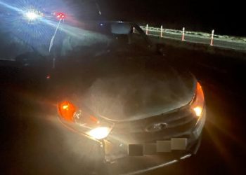 На Кубани 20-летний водитель насмерть сбил мужчину