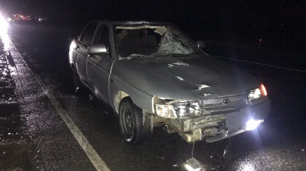 На Кубани водитель без прав насмерть сбил 56-летнего мужчину