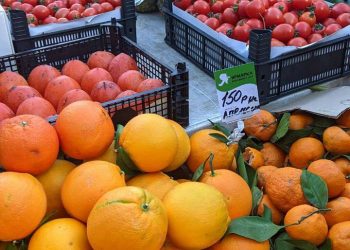 Ананасы по 1200 руб. за штуку: краснодарцев «порадовали» цены на последней ярмарке