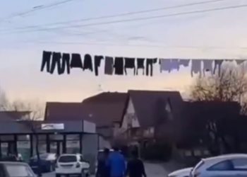 Сочинцы начали вывешивать одежду на проводах