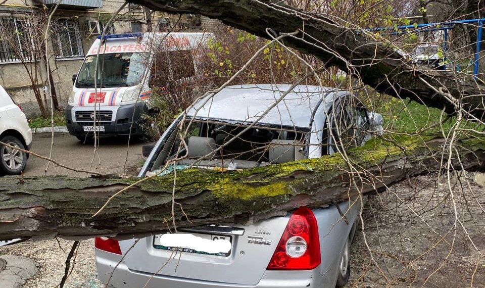 В Новороссийске дерево упало на газовую трубу и придавило автомобиль