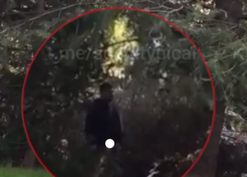 В Сочи на видео сняли мужчину, мастурбировавшего на детей