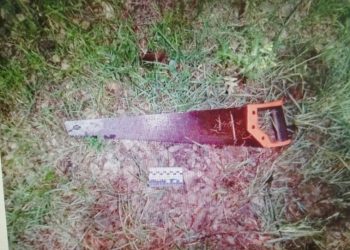 В Новороссийске 33-летний мужчина перед домом односельчанина спилил и выбросил голубую ель