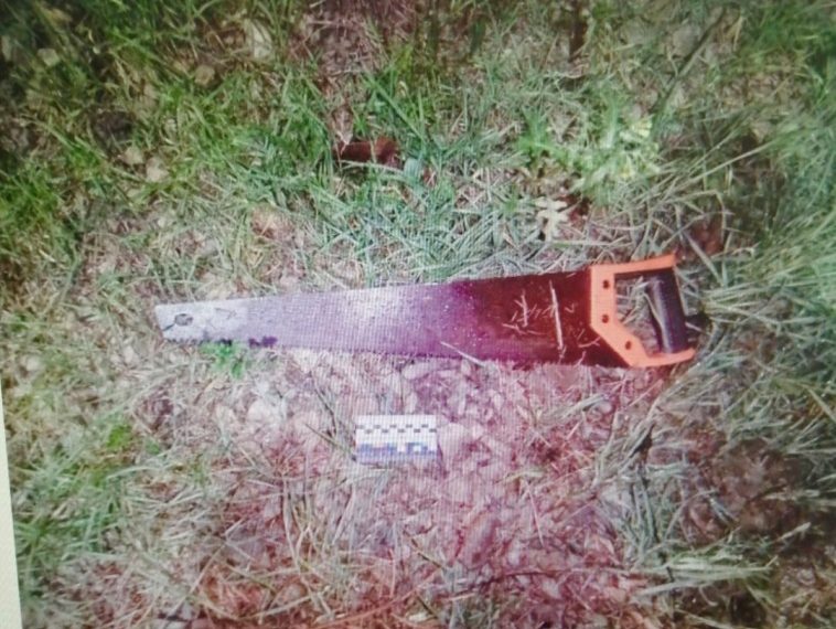 В Новороссийске 33-летний мужчина перед домом односельчанина спилил и выбросил голубую ель