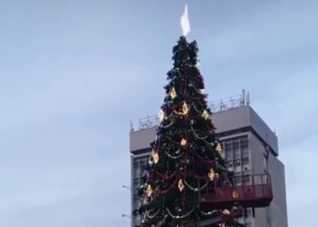 В Краснодаре заканчивают устанавливать главную елку