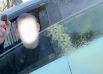 В Краснодаре конфликт водителей закончился выстрелом в лицо из перцового баллончика