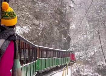 На Кубани в Гуамском ущелье выпал свежий снег