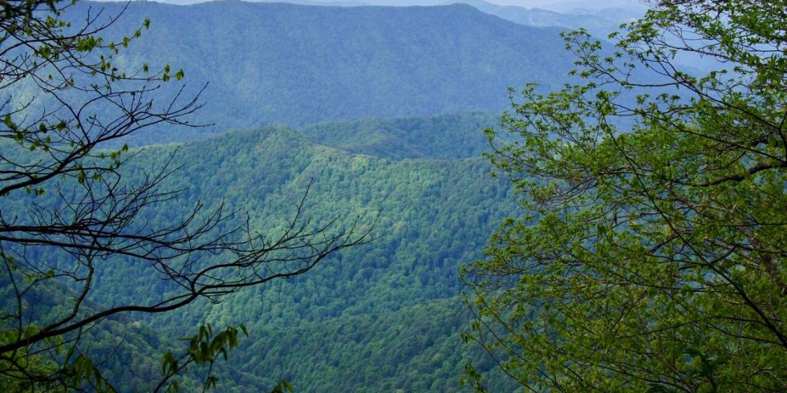 В Сочи второй день ищут заблудившегося туриста