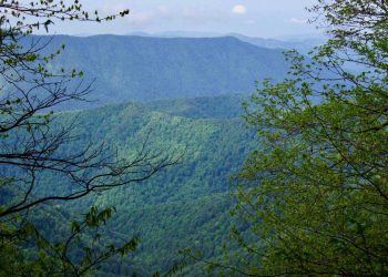 В Сочи второй день ищут заблудившегося туриста