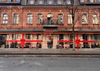 В Краснодаре компания девушек под покровом ночи оборвала новогоднее убранство на улице Чапаева