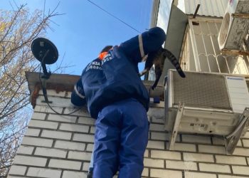 В Новороссийске кот почти три дня не мог слезть с крыши