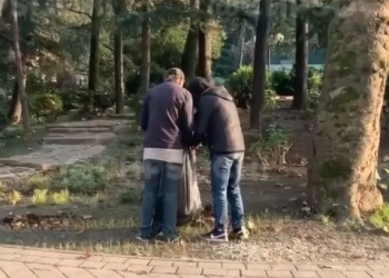 В сочинском сквере были замечены пьяные эльфы, ворующие волшебные растения