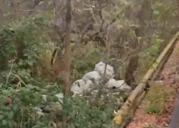 В Сочи водитель грузовика свалил строительный мусор в лесополосу