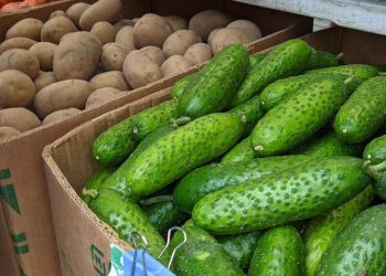 Краснодарцы пожаловались на неадекватные цены на ярмарках выходного дня